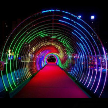 Drive Through Zoo Park: 3D LED Arch DMX RGB Color Changing Light Tunnel