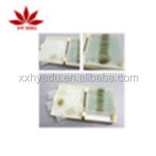 Fixed Items Geology Slide Study: Rock Thin Section Microscope Slides