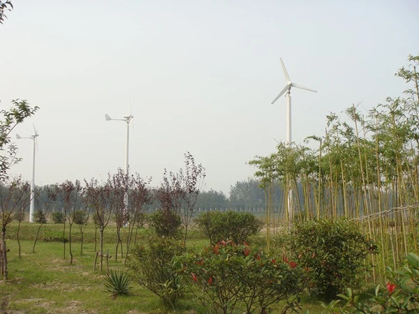 Small Wind Turbine Generator with High Power Output