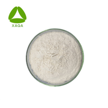 Poudre de nitrate de butoconazole CAS 64872-77-1