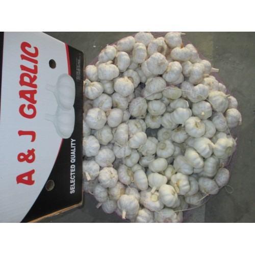 2020 Pure White Garlic Best Quality