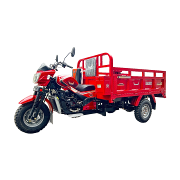 Stylish Three Wheel Vehicle for Urban tricycle