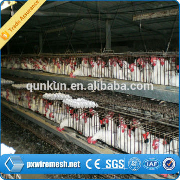 prefab chicken farm/chicken farm building/chicken farm supplies