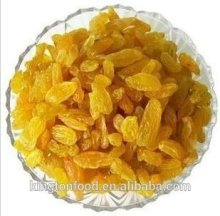 chinese wholesale price dried golden raisin