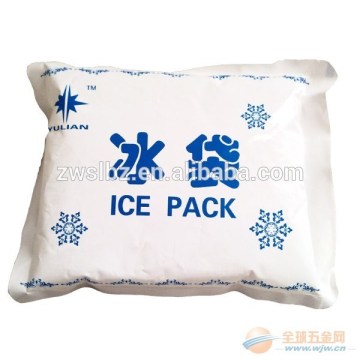 ice plastic bag/ICE PACK/ICE PE Bag