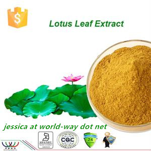 free sample ! CAS NO 475-83-2 dried lotus leaf extract , lotus leaf P.E.