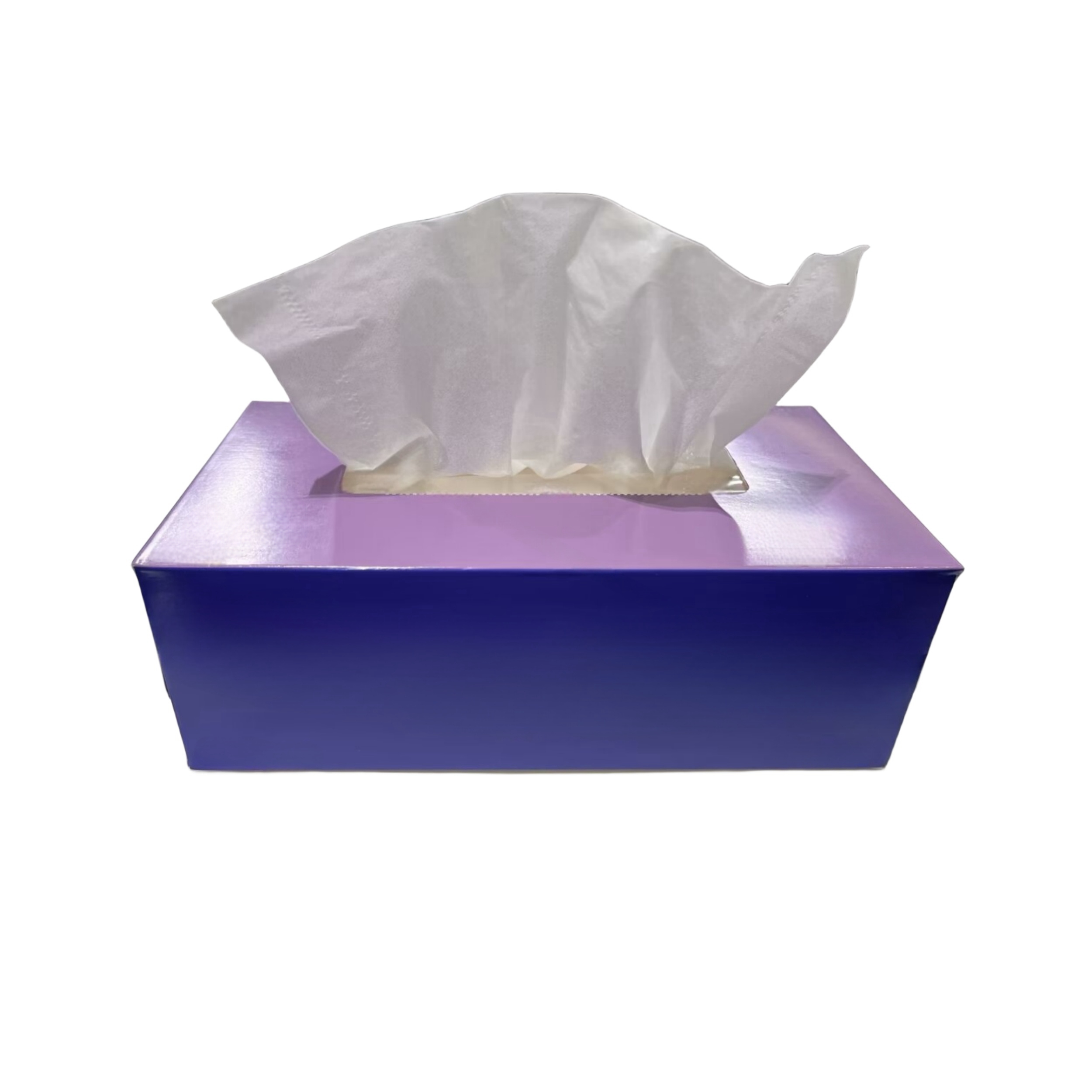 Extra Soft 2ply White Box Facial Tissue