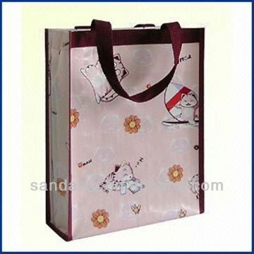 PP Woven shopping bags with zipper (W801013)