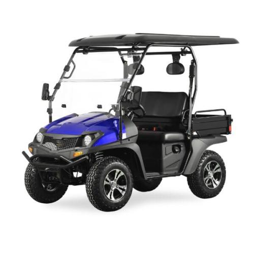 Jeep Style 200cc EFI Golf Carts con EPA