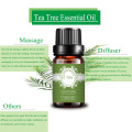 New Stock Fresh Australian Tea Tree Essential Oil