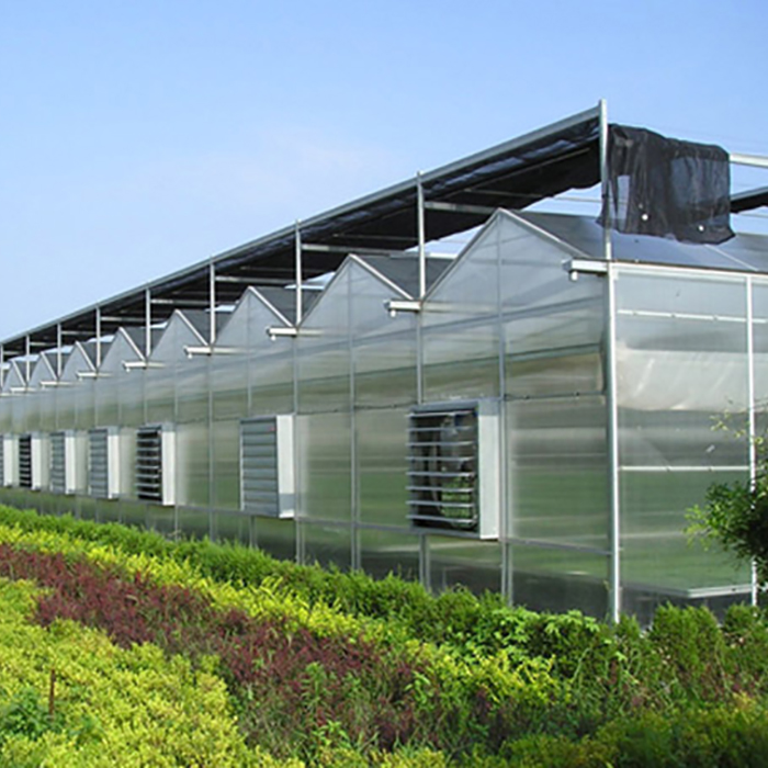 Velon PC Board Multi-Span Greenhouse