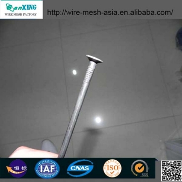 Polished Common Round Iron Wire Nails