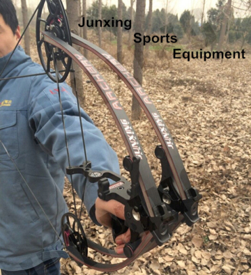 hunting compound bow including bow and arrows