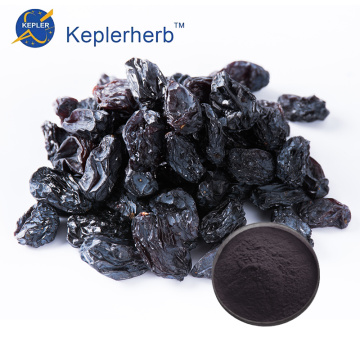 Black Currant Extract Powder