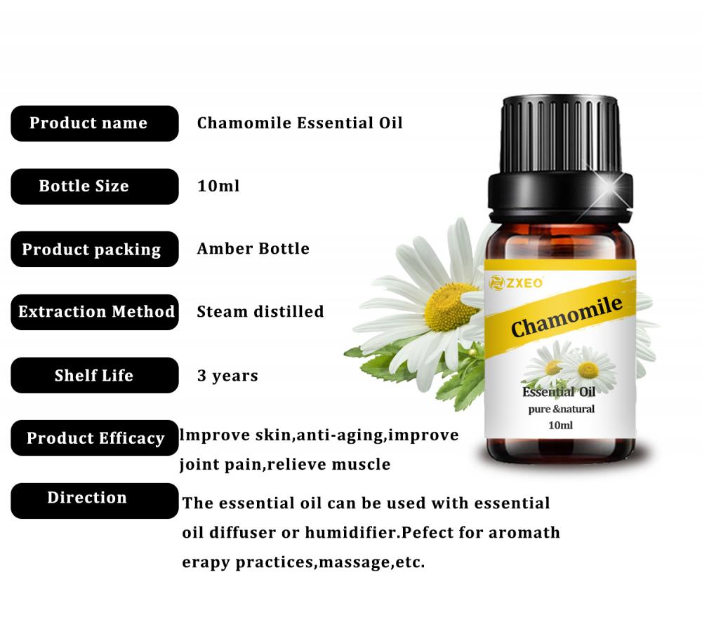 Bulk Großhandel Therapeutic Grad natürliche reine Kamille -Blütenblüten ätherische Öle Kamille für Aromatherapie