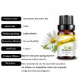 Grado al por mayor de grado terapéutico Pure Flower Oils esenciales Aceites de manzanilla para aromaterapia