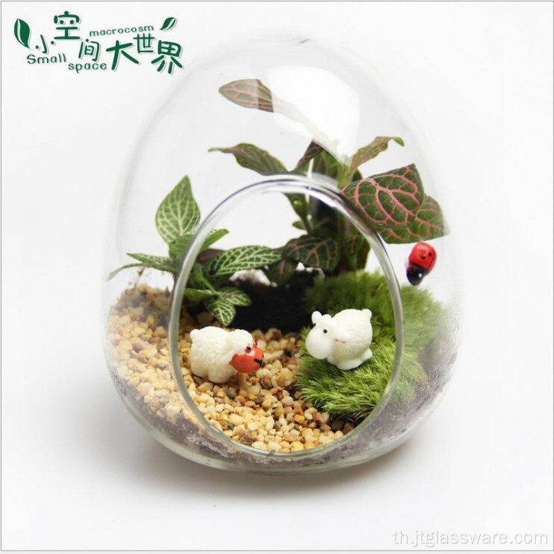 ของแต่งบ้าน ขวดแก้ว Terrarium