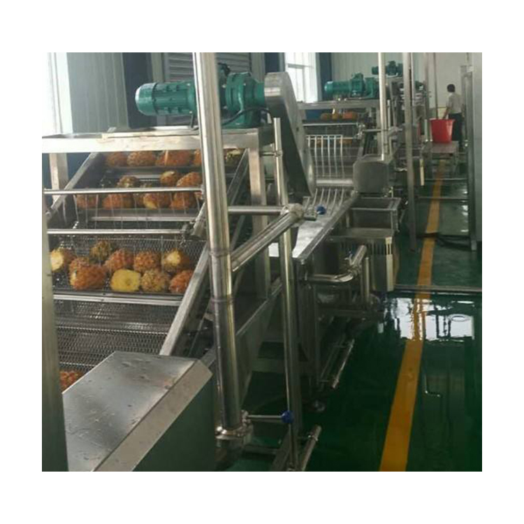 Fruit pulper machine for Fruit Processing Line