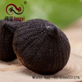 Best Sale Solo Black Garlic With FDA