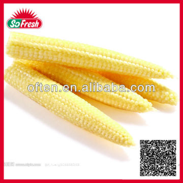 delicious canned baby corn for top quality and reasonable price baby corn canned with low price baby corn whole