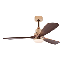 Remote Control Electric Ceiling Fan with Light