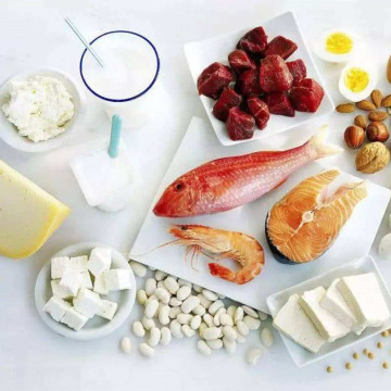 Trypsin endopeptidase can help hydrolyze protein