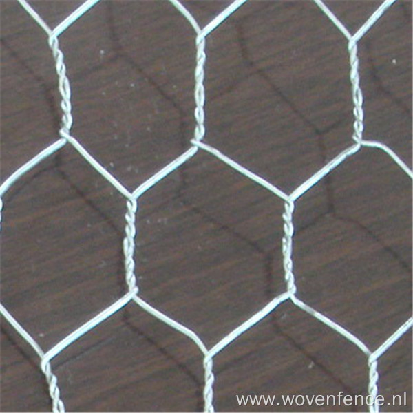 Chicken wire fencing