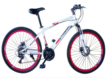 Qualified Mountain Region Derailleur