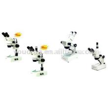 Stereo Microscope
