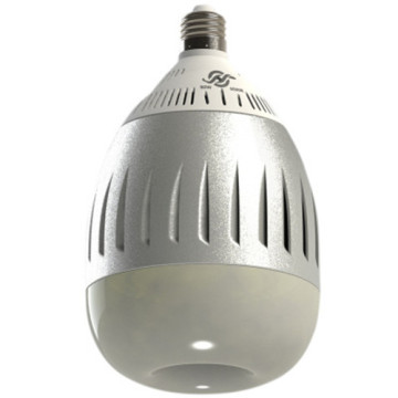LEDER High Power Light Bulbs