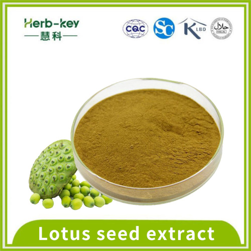 10% polysaccharide compound 10:1 lotus seed extract powder