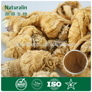 100% Natural Organic Maca Powder/Maca Root Extract Powder/Maca Powder Bulk