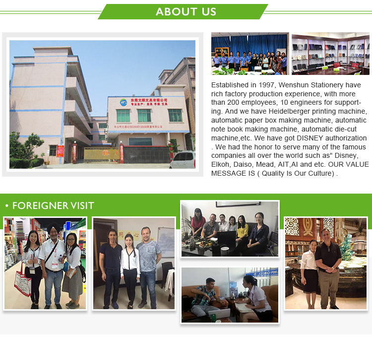 Plastic Flexible Fancy A4 Size Presentation Document File Folder