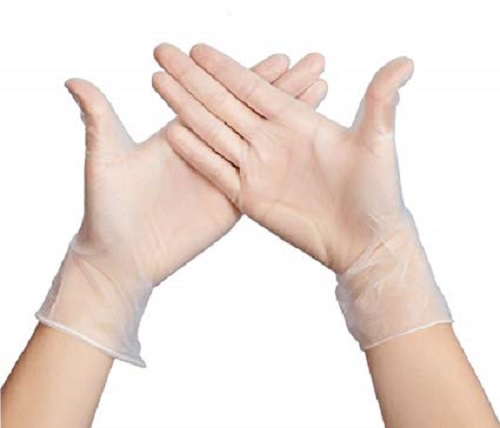 Clear Vinyl Glove