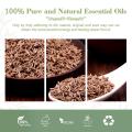 Wholesale Supply 100% Natural and Pure Best Quality Caraway Essential Oil at Good Price