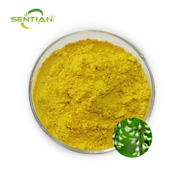 Premium Plant Extract Quercetin Supplement