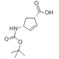 (-) - (1S, 4R) -N-Boc-4-аминоциклопент-2-энкарбоновая кислота CAS 151907-79-8