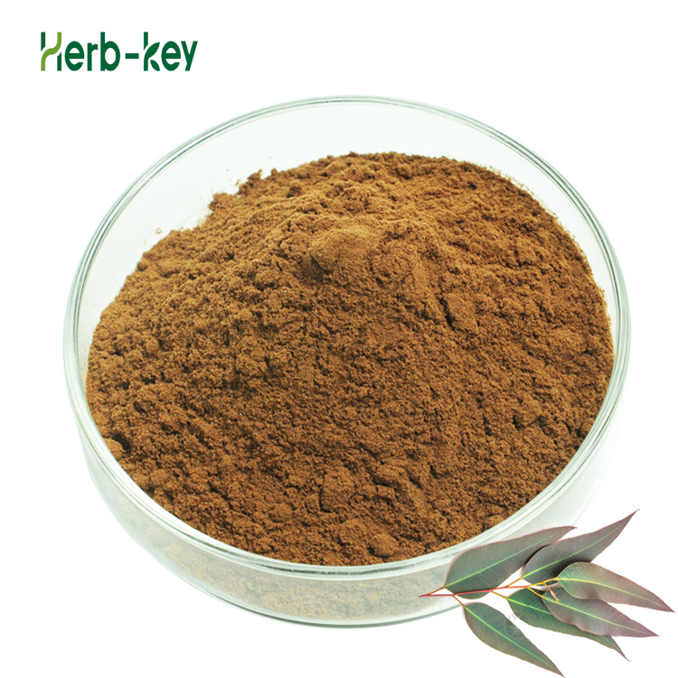 Eucalyptus Leaves Extract for Loosening Phlegm