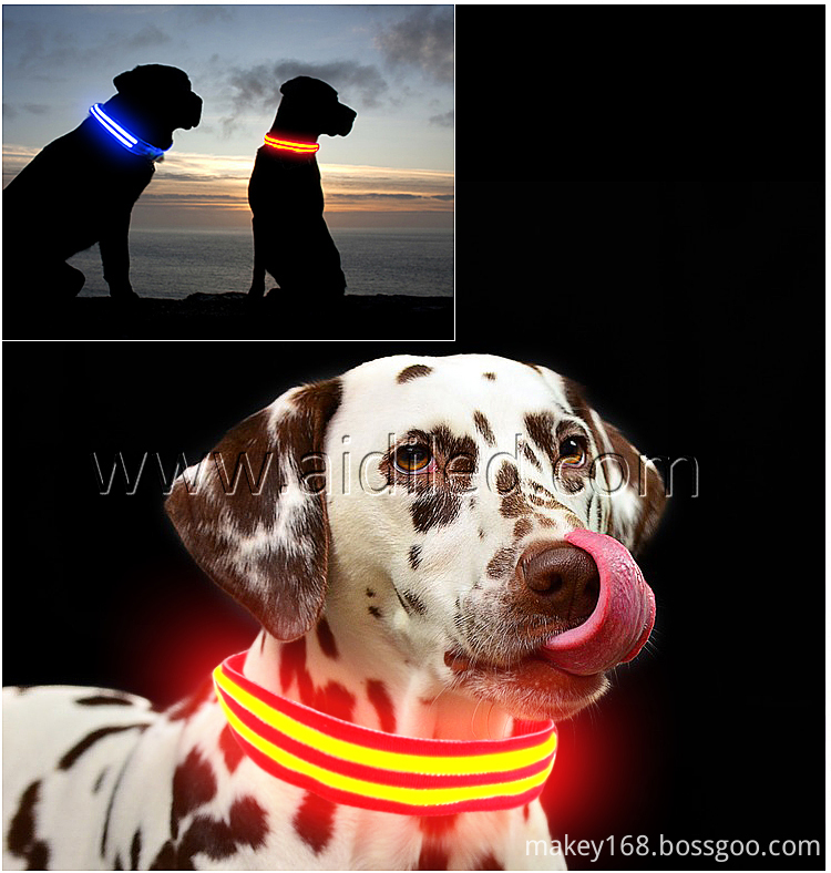 Rechargeable Lighted Dog Collars