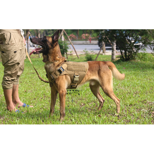 Arnês de cães táticos Custom Tactical Dog Harness fábrica