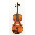 Selected European Wood Violin