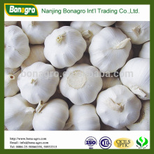 2014 new crop top Mesh bag garlic Natural garlic Alibaba China
