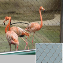 bird park wire mesh neting,aviary wire mesh fence