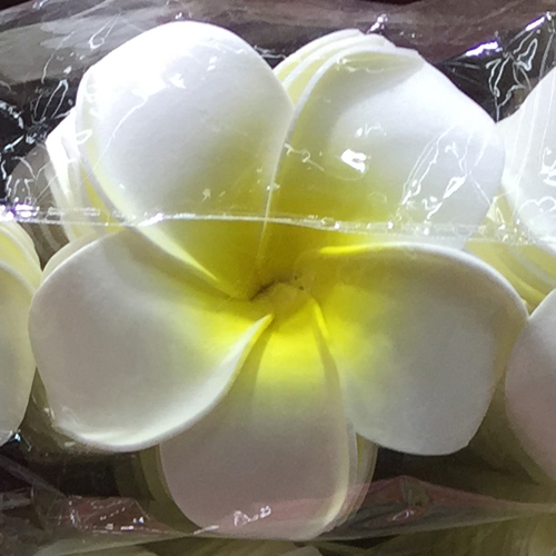 4/5/6 / 7 cm Plumeria Foam Frangipani Hoa Trang trí Giáng sinh