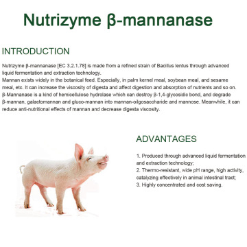 Voer additieve enzym beta mannanase voor voer