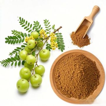 Emblica Officinalis Extract: Nourishing Benefits for Hair