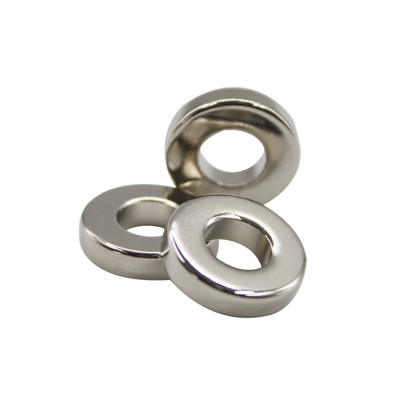 Ni Coated Ring Magnet 9