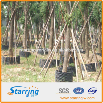 Bamboo Root Barrier