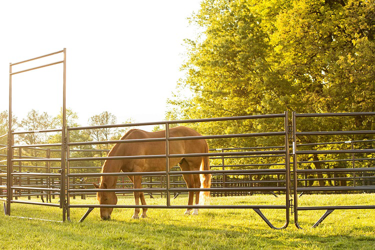 Horse Fence Panel