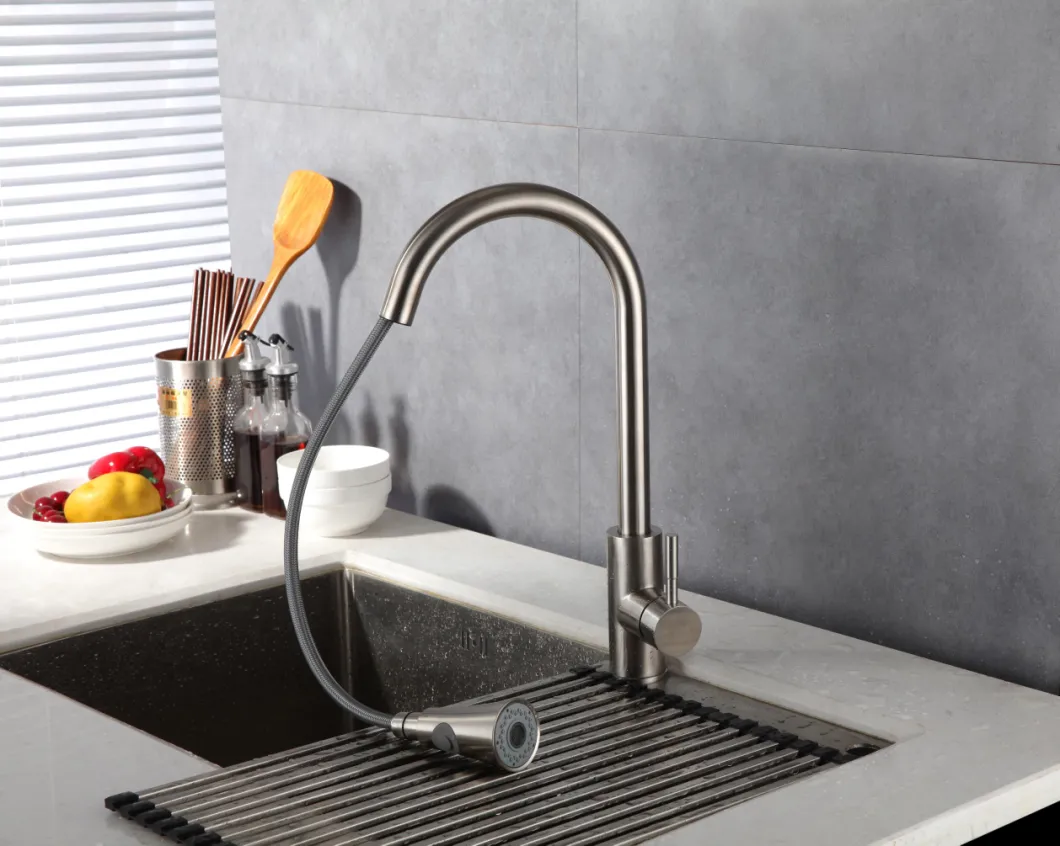 Ovs Contemporary Style 304 Stainless Steel Pull out Kitchen Faucet with Flexible Hose